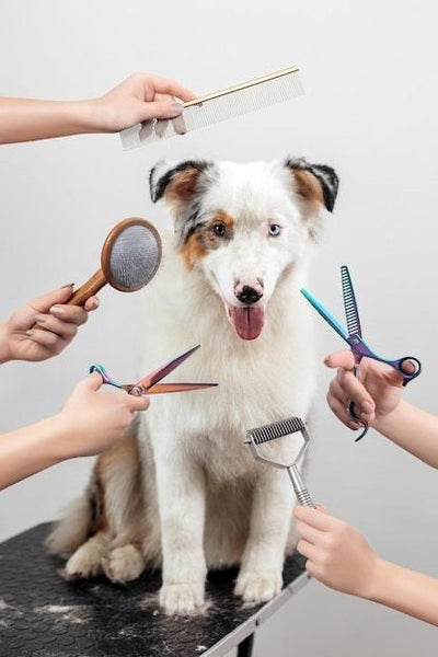 Grooming