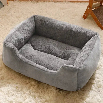 Beds/Blankets
