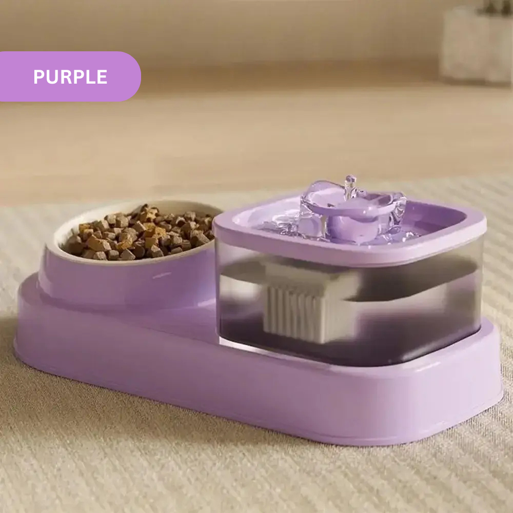 2-in-1 Pet Feeder Fountain