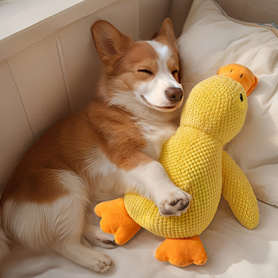 Indestructible Squeaky Duck Toy