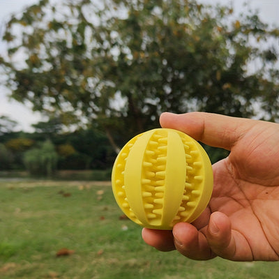 Food-Dispensing Chew Ball
