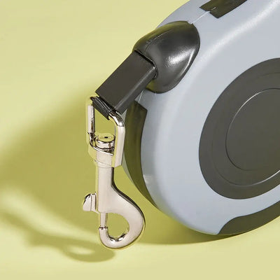 Compact pet leash with automatic locking system for better control