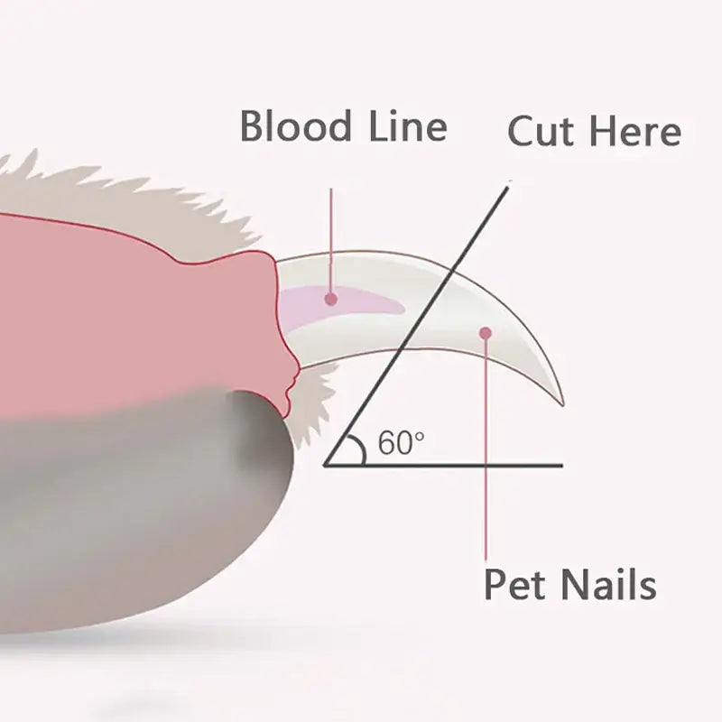 Rechargeable LED pet nail clippers for stress-free grooming