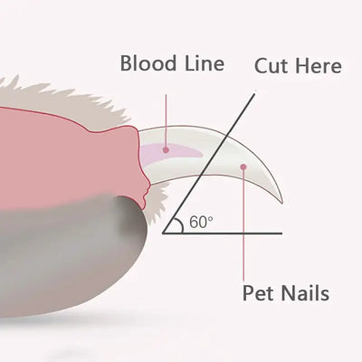 Rechargeable LED pet nail clippers for stress-free grooming