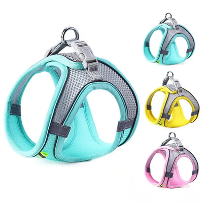 Reflective and adjustable dog harness designed for secure, stylish, and visible outings.