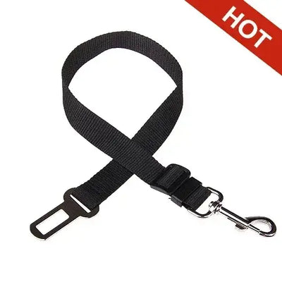 Dog harness for safe vehicle rides and walking convenience