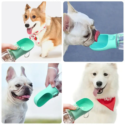 Leakproof Portable Water Bottle for Dogs