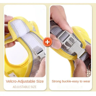 Reflective harness with adjustable straps, made for visibility and control in low-light conditions.