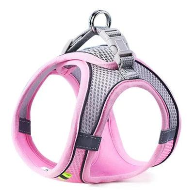 High-visibility dog harness with reflective strips and adjustable fit for all breeds and sizes.