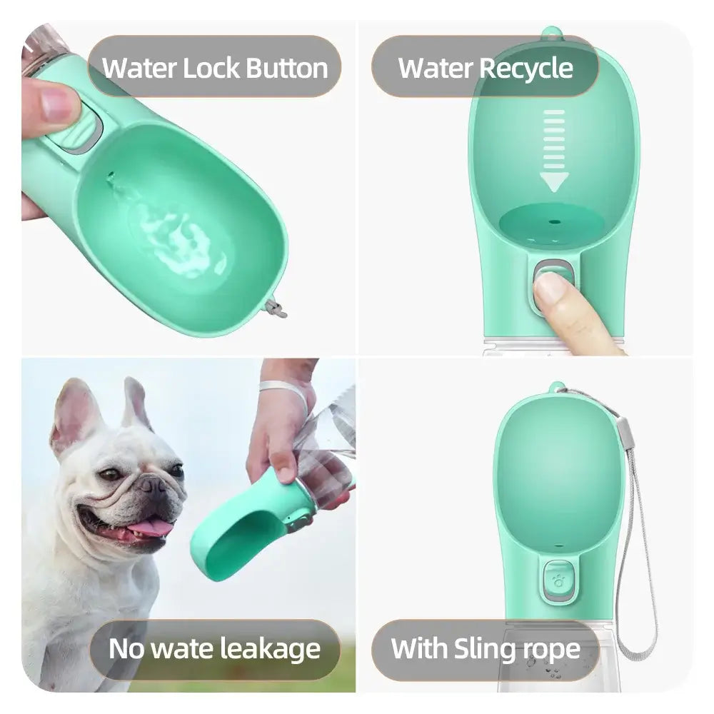 Compact pet water bottle with built-in bowl for easy drinking