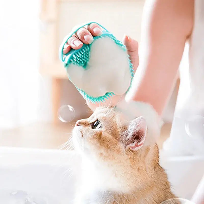 Comfortable and safe massage brush for pet bathing routine
