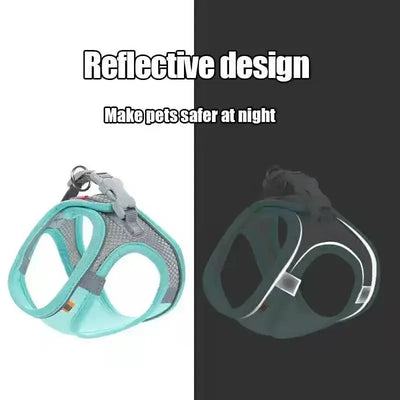 Adjustable harness for pets with reflective material for added safety and peace of mind.