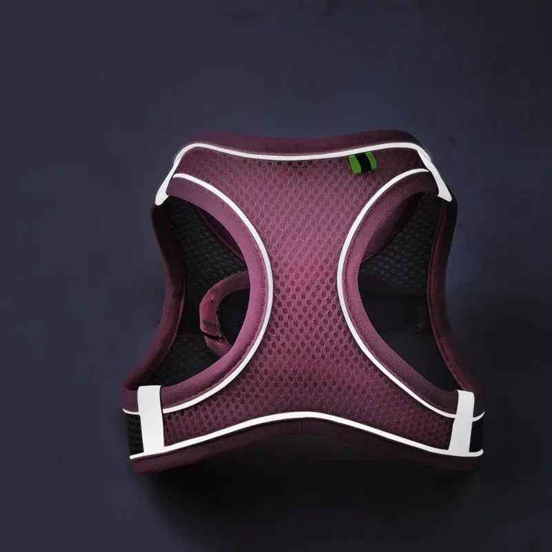 Lightweight and reflective dog harness offering comfort, fit, and visibility.