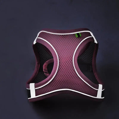 Lightweight and reflective dog harness offering comfort, fit, and visibility.