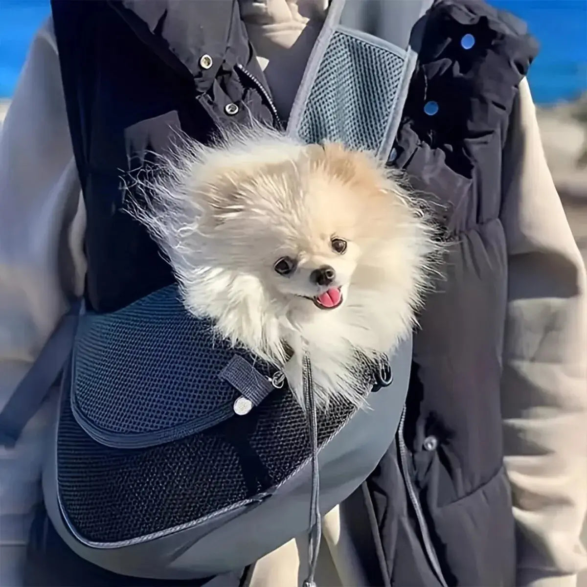 Portable pet backpack with breathable mesh, carrying a small dog for travel and adventure.