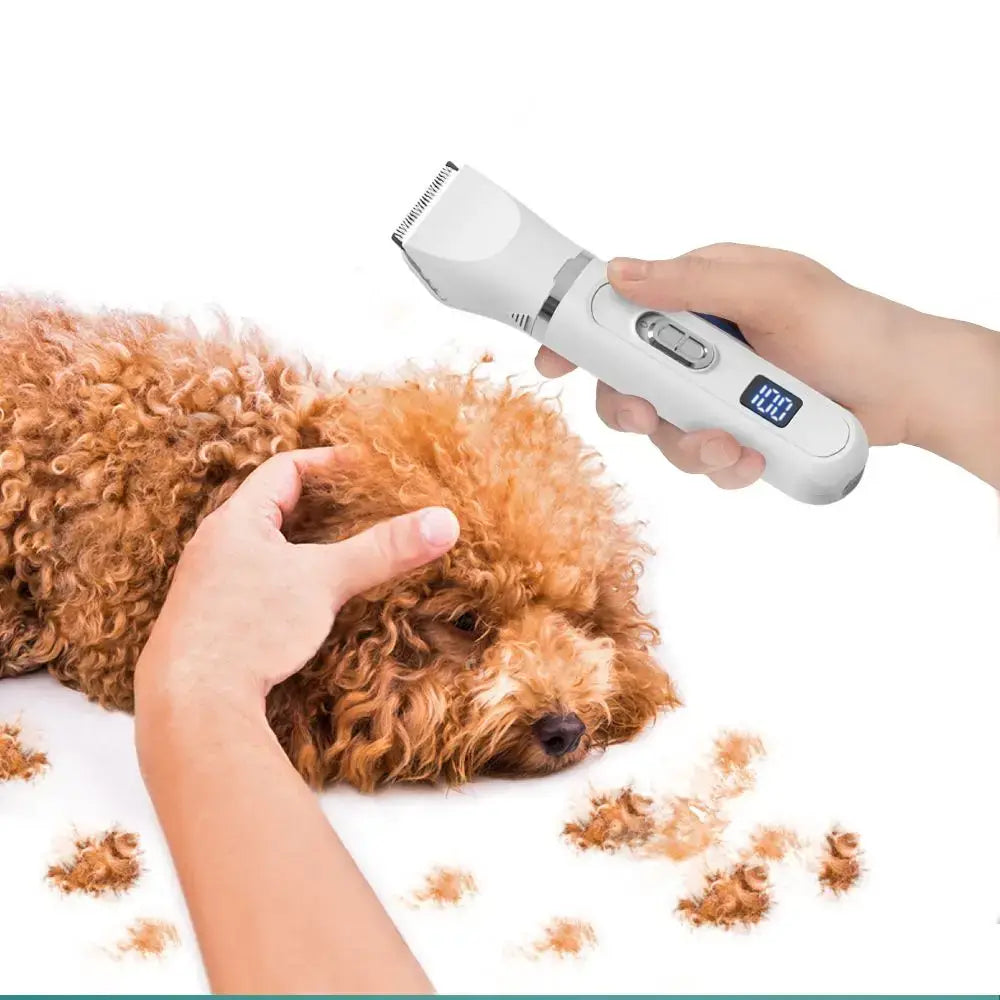 Grooming electric dog hair clipper in use on a fluffy dog, showcasing silent cutting and USB rechargeable feature.